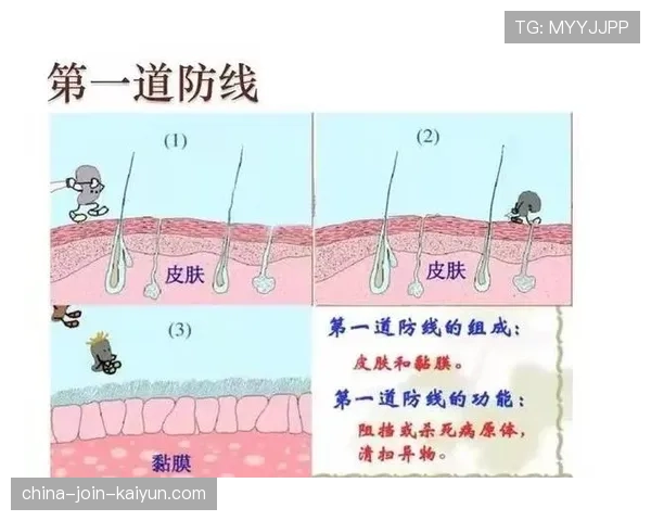 ⚔️ 高位压迫的破解之道:两脚斜长传,如何瞬间撕裂防线?